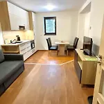 Apartment U Krize Harrachov