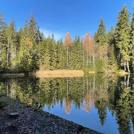 Apartment U Krize Harrachov